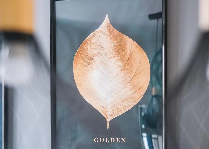 La Parenthese-wifi-netflix-parking * Виши